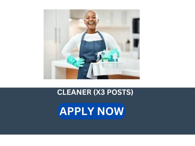 CLEANER (X3 POSTS)